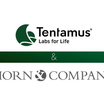 Tentamus - Partnership with Horn & Company