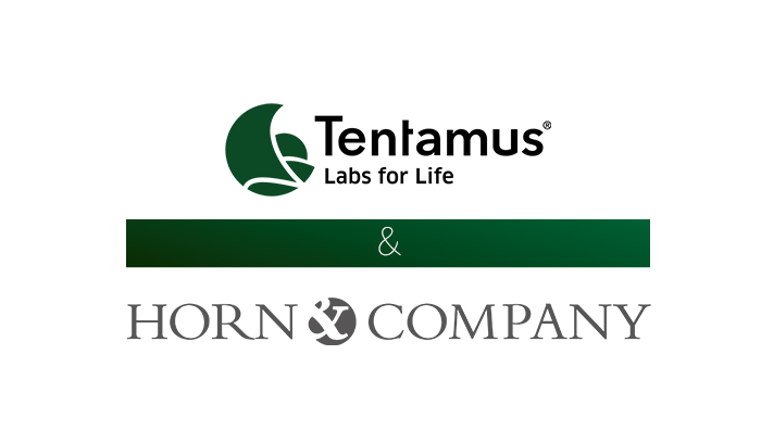 Tentamus - Partnership with Horn & Company