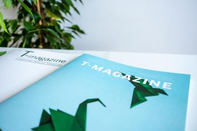 IMG 10 TMagazine