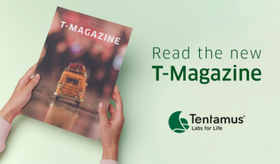 Img T Magazine DIC25 ENG 700x409