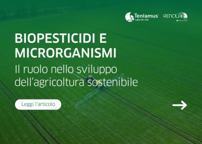 img news renolab press biopesticidi