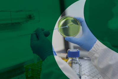 renolab header img home