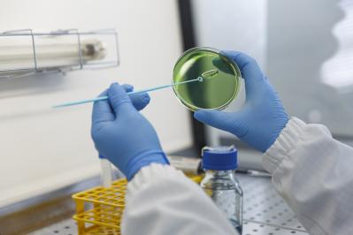 renolab header img home clean